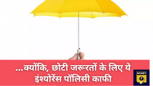 Bite-Sized Insurance: छोटा है तो बेहतर है! कम जरूरतों के लिए खरीदें ये पॉलिसी