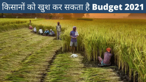कृषि में दूरगामी सुधारों की जगह किसानों को तुरंत राहत दे सकता है बजट-2021