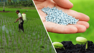 Heranba Industries IPO: पैसा लगाएं या नहीं, क्या कहते हैं एक्सपर्ट्स?