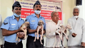 भारतीय वायुसेना में सुरक्षा के लिए शामिल हुए देसी कुत्ते, रनवे की करेंगे रखवाली