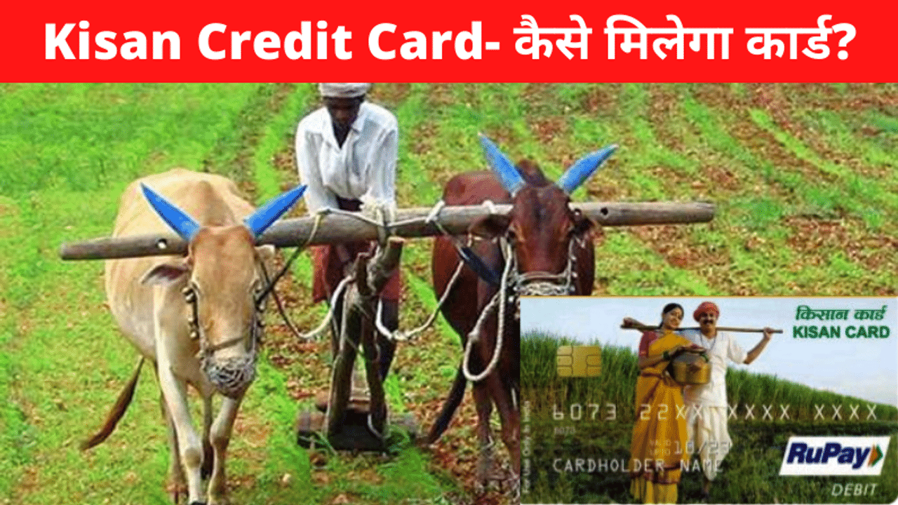 Kisan credit card, KCC benefits, pm kisan samman nidhi scheme, Kisan income, SBI News, State Bank KCC, Farmers News, Agriculture News