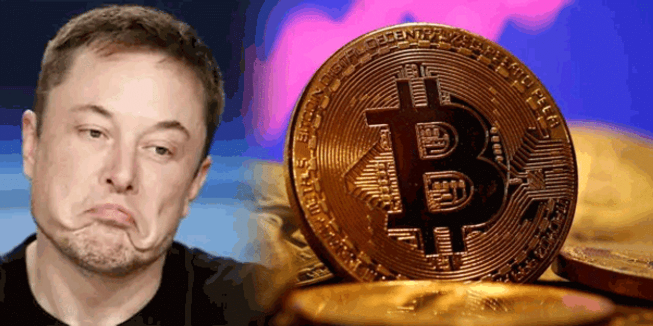 elon musk, bitcoin, richest man, elon musk wealth, elon musk tweet, Elon musk on Bitcoin, Cryptocurrency latest news, Jeff bezos