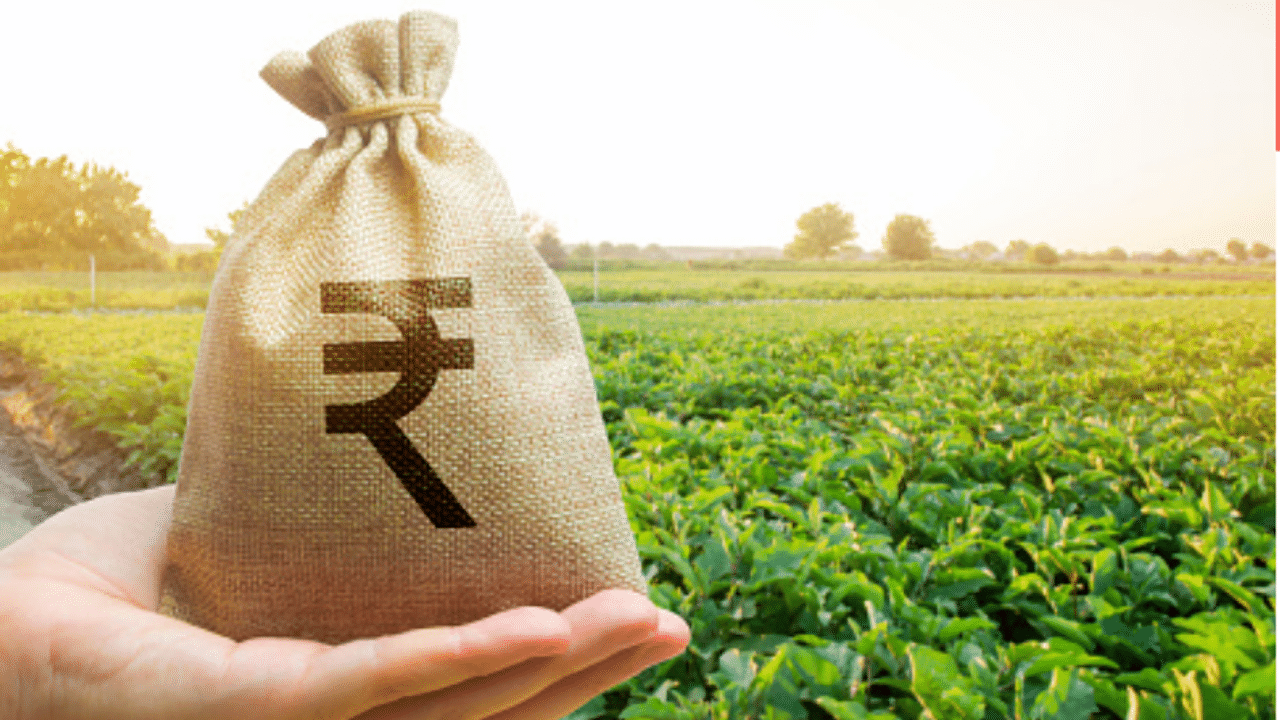 Govt hikes minimum support price for wheat by Rs 40 to Rs 2,015/quintal