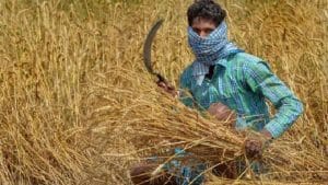 निर्यात की राजनीति से लोगों के साथ किसान भी हुए परेशान