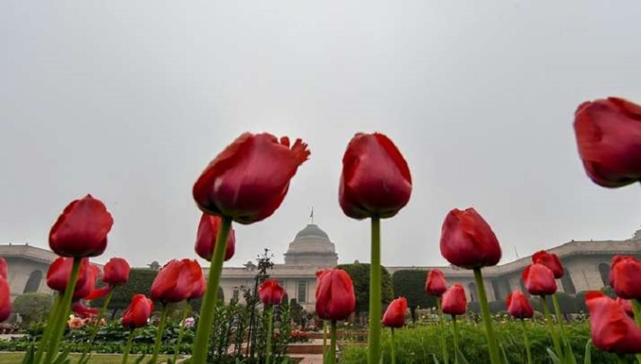 Mughal Garden, prsident bhavan, best place to visit in delhi, travel plan,