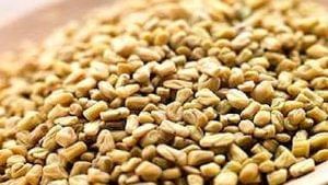हरी सब्जियों में प्रयोग होने वाली मेथी के हैं कई फायदे, जानकर चौंक जाएंगे आप