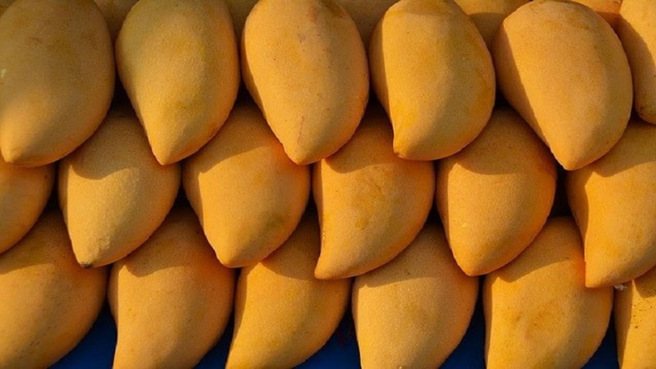 Mango, mango supply, government scheme, modi government,