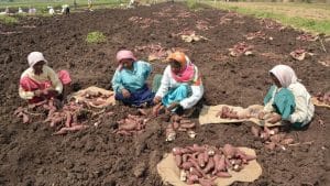 Lockdown का एक साल: ग्रामीण समुदायों के लिए आय में कमी सबसे बड़ी चिंता