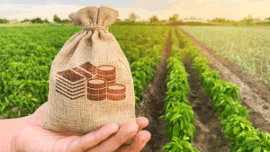 PM किसान सम्‍मान निधि:  खाते में पैसा आया या नहीं, घर बैठे ऐसे करें पता