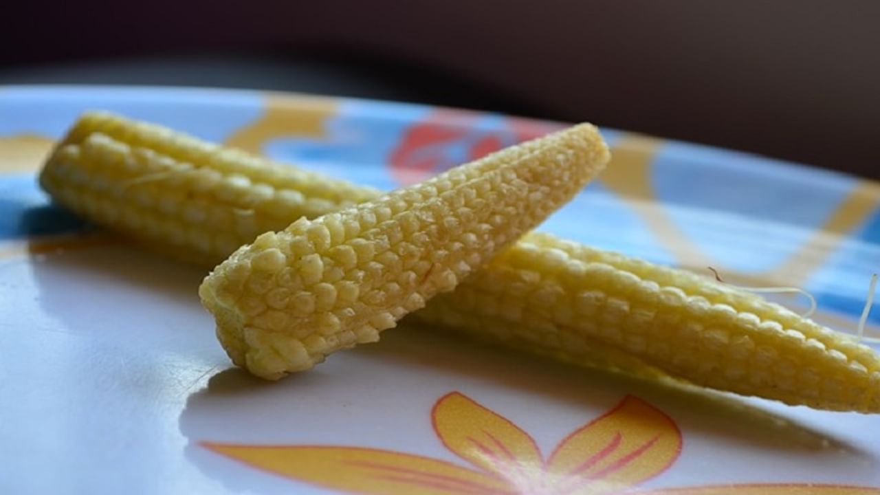 Baby Corn, corn, baby corn demand, earn money, money, demand for corn