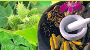 कोरोना मरीजों को आज से फ्री में मिलेगी आयुष-64, जानिए कैसे ले सकते हैं लाभ