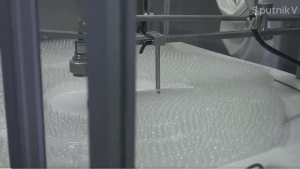 भारत में स्पुतनिक-V का उत्पादन शुरू, ये कंपनी बनाएगी हर साल 10 करोड़ वैक्सीन डोज