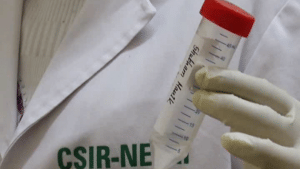 अब इस घरेलू नुस्खे से कर सकेंगे RT-PCR टेस्ट, तीन घंटे में आएगा रिजल्ट