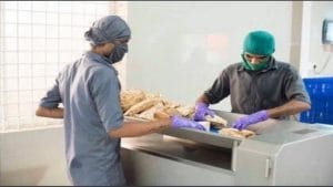 अंतरराष्ट्रीय फलक पर चमके किसान, जर्मनी को किया 10.20 मीट्रिक टन जैविक कटहल का निर्यात