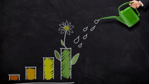 इस म्यूचुअल फंड कंपनी ने लॉन्च किया नया स्मॉलकैप फंड, कैटेगरी ने 5 साल में निवेश को किया दोगुना