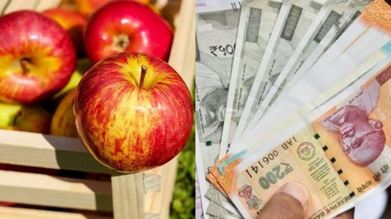 Apple, apple chutney, apple chips, earn money, apple chutney and chips, rupees