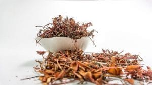 Ayush: क्या हेल्थ पॉलिसी में कवर होता है आयुष ट्रीटमेंट, यहां है पूरी जानकारी