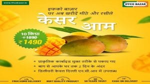 Kesar Mango: एक कॉल पर बाग से सीधे आपके घर पहुंचाया जाएगा गुजरात का ये स्‍वादिष्‍ट आम