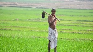 PM Kisan: तुरंत कराएं रजिस्ट्रेशन, खाते में आ जाएंगे चार हजार रुपये