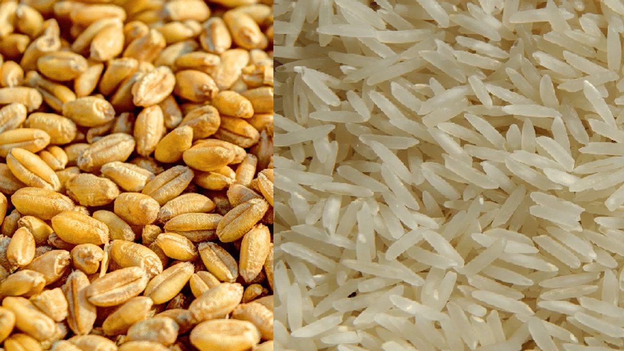 food ministry, grain prices, OMSS, rice prices, wheat price, Wheat-Rice Prices