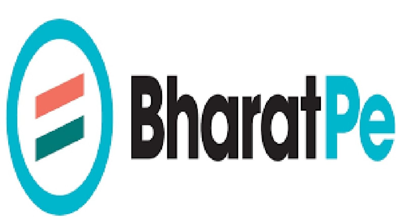 BharatPe, unicorn club, Dragoneer Investor Group, Steadfast Capital