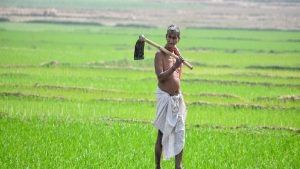 किसानों के लिए बढ़ेंगी सुविधाएं, केंद्रीय कृषि मंत्रालय ने किए पांच एमओयू पर हस्ताक्षर