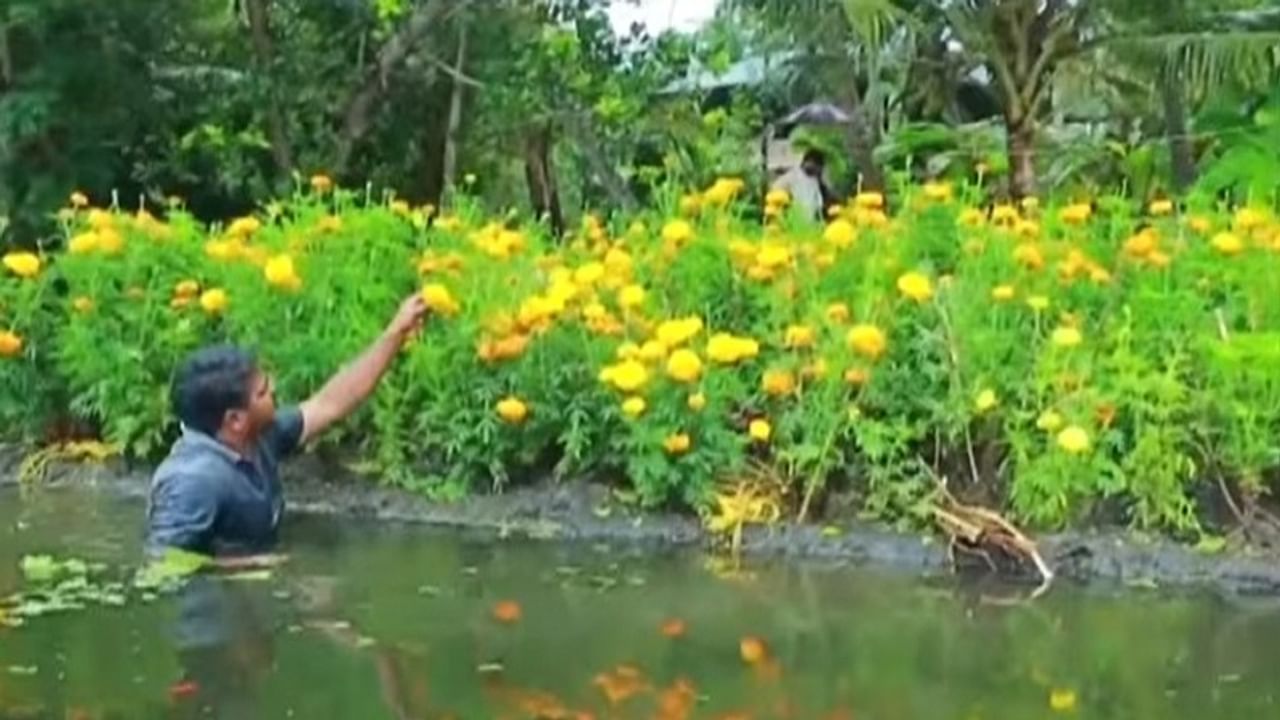 farmer, floating gardens, floating gardens in Kerala, kerala