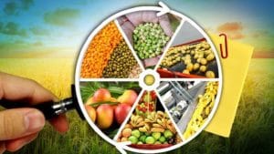 'मिशन पोषण 2.0' का लोगो और टैगलाइन बनाओ और इनाम में एक लाख रुपये ले जाओ