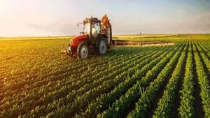 किसानों के लिए फायदे का सौदा है ऑर्गेनिक फार्मिंग, दुनिया में बढ़ रही है डिमांड