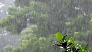 उमस भरी गर्मी से मिलेगी राहत, मौसम विभाग ने इन राज्यों में बारिश का जारी किया अलर्ट