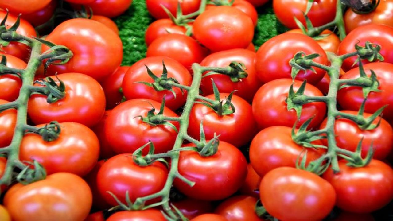 Farmers threw tomatoes, farmer, tomatoes, farmer, tomatoes, tomato, market