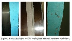 छिपकली काे देखकर आया ये धांसू आइडिया, घर को स्‍वच्‍छ रखने में मिलेगी मदद 