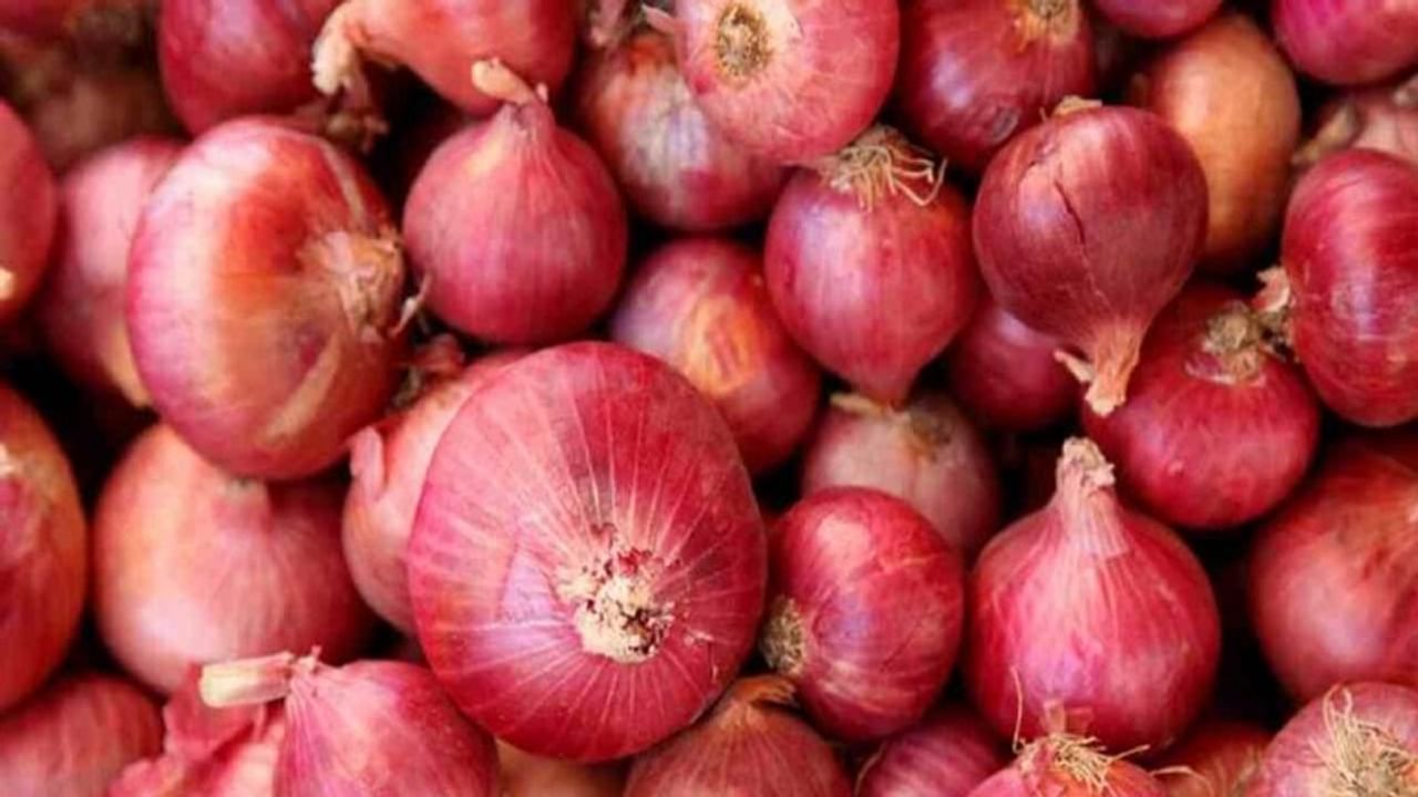 CRISIL, onion, Onion price in Delhi, Onion price in Maharashtra, Onion price in Nashik