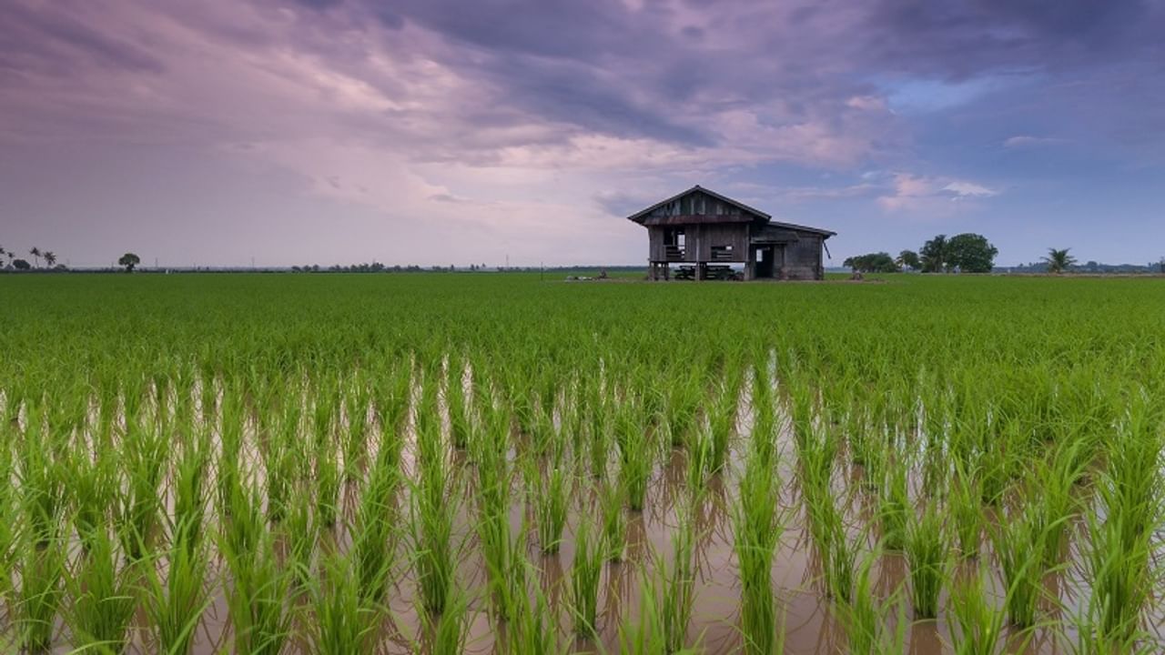 india ranks among top 10 agriculture export nations in world