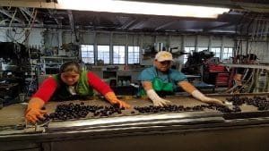 फूड प्रोसेसिंग इंडस्ट्री ग्रामीण क्षेत्रों में खोलेगी तरक्की के द्वार, प्रोसेस्ड फूड का निर्यात बढ़ाने पर जोर