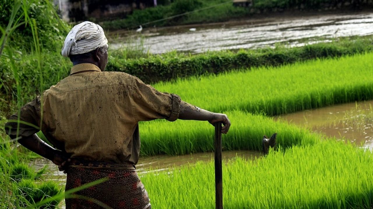 rural or agriculture segment is the growth pillar of indian economy
