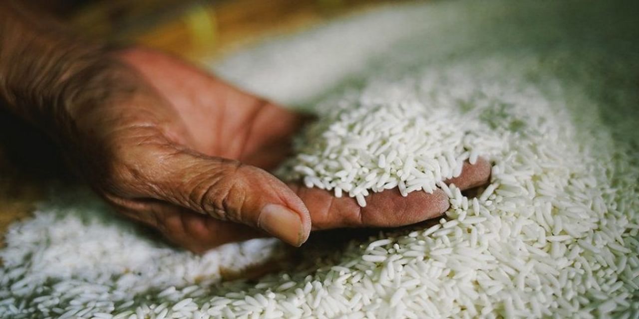 भारत सहित दुनियाभर में चावल की उपज घटने का अनुमान