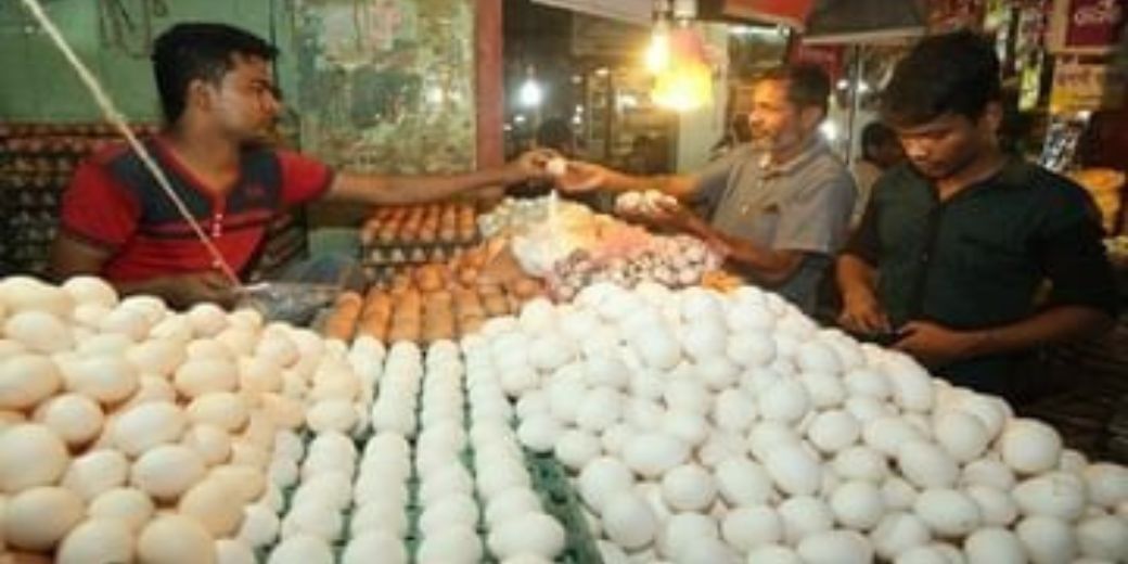 अंडे की कीमत बढ़ने की क्या है वजह?