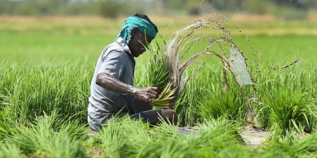 फसल बीमा योजना में क्या नया करना चाह रही है सरकार?