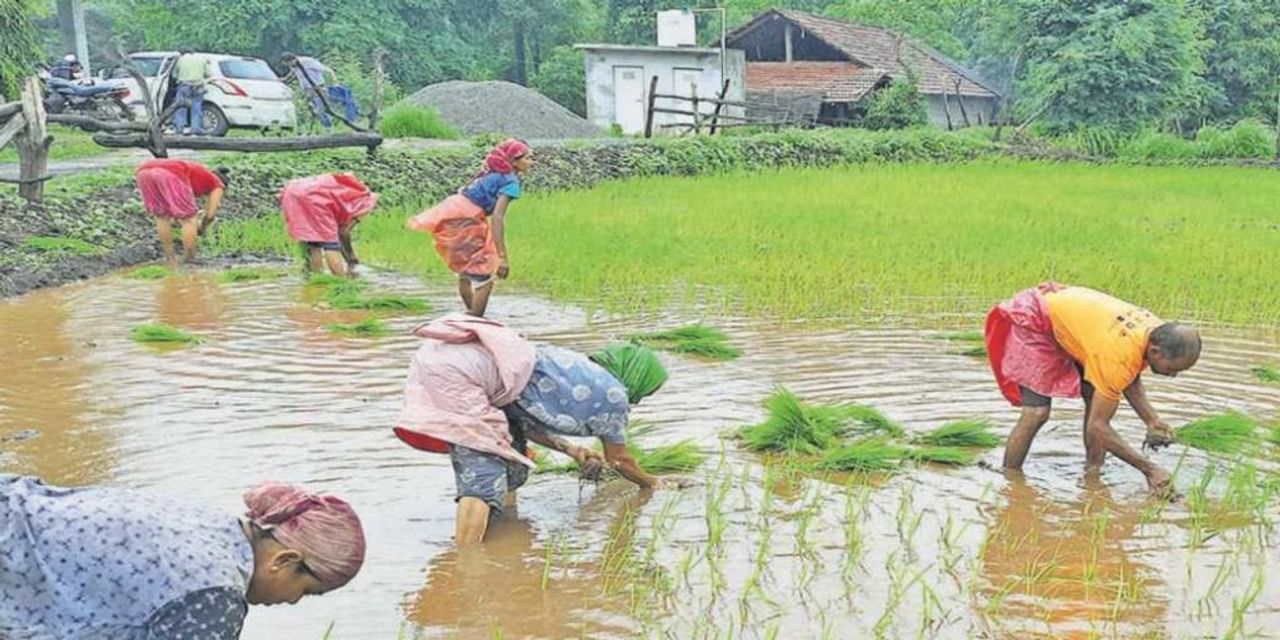 Monsoon 2023: आफत की बरसात बढ़ाएगी महंगाई