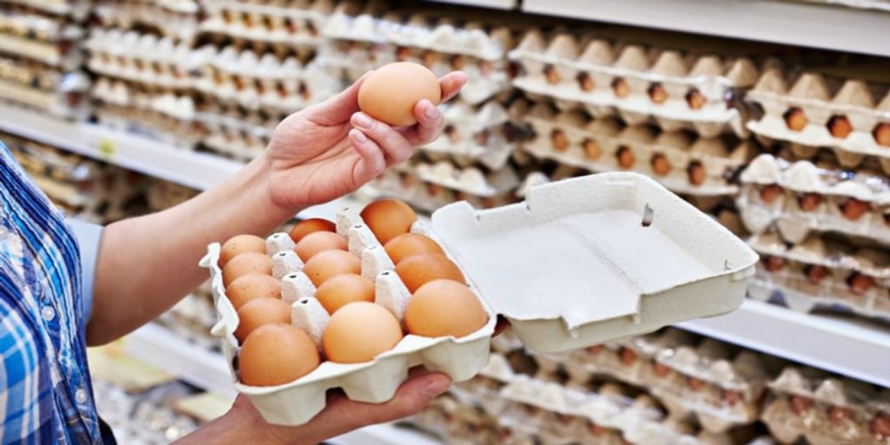 महंगे अंडे तो नहीं खरीद रहे आप? 24% घट चुका है भाव