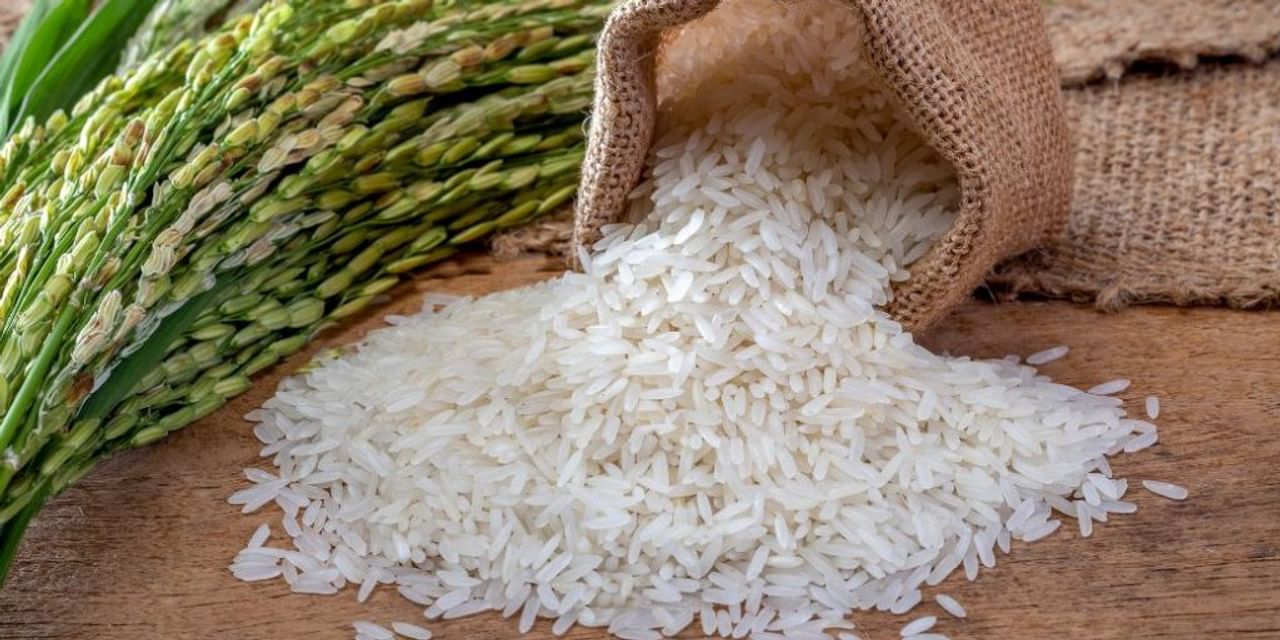 2025 से पहले सस्ता नहीं होगा चावल: विश्व बैंक