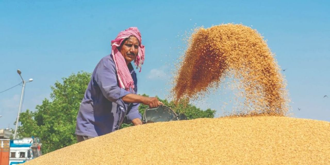 रूस से सस्‍ता गेहूं खरीद सकता है भारत