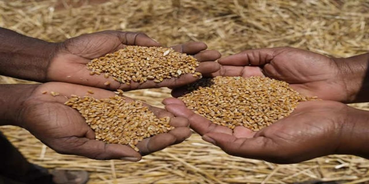 FCI ने खुले बाजार में 1.66 लाख टन गेहूं, 17,000 टन चावल बेचा
