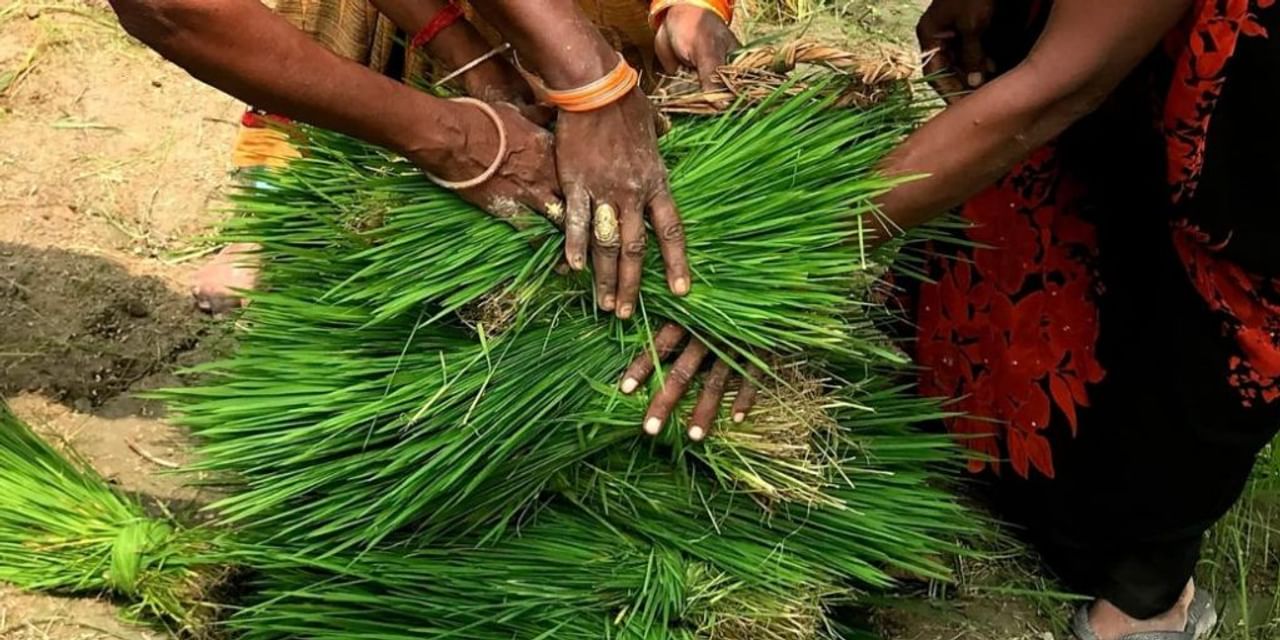 प्राकृतिक खेती को मिलेगा बढ़ावा, शुरू हुआ कृषि सखी प्रशिक्षण कार्यक्रम