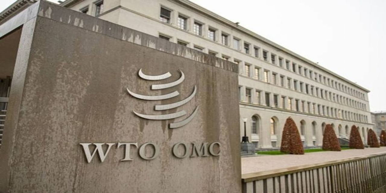 EU के खिलाफ WTO के मंच पर आवाज उठा रहा भारत