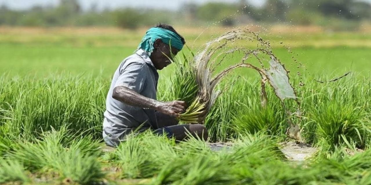 गैर कृषि कर्ज वाले क्षेत्रों में बढ़ा फसल बीमा का चलन