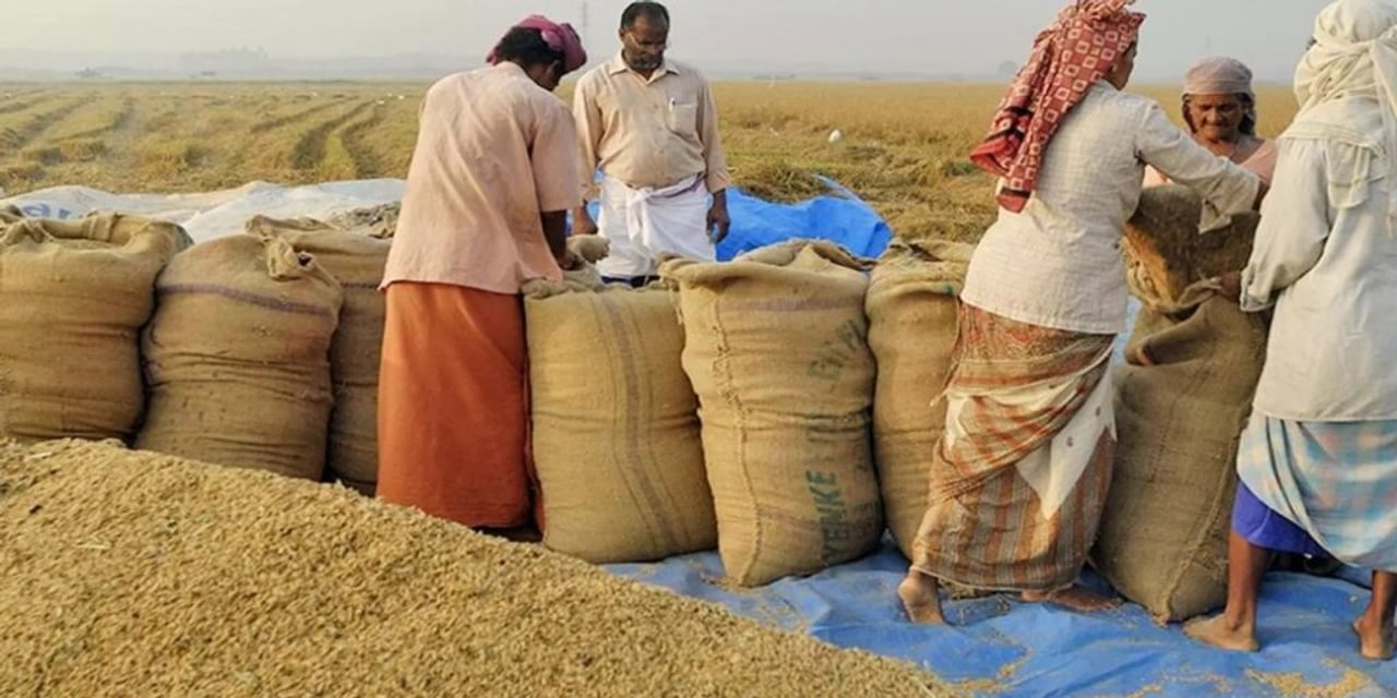 पिछले साल से चावल खरीद 7 फीसद पिछड़ी
