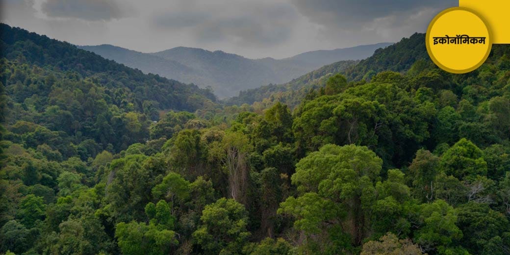 कौन जीतेगा इस बाजार में?