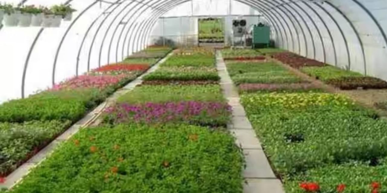 बागवानी उत्पादन में 2% से ज्यादा की बढ़ोतरी का अनुमान
